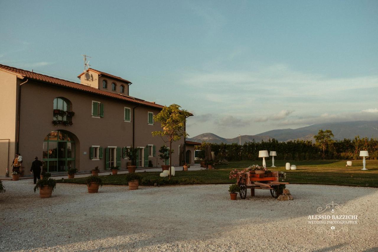 Fattoria L'Olmetto Villa Pisa Luaran gambar
