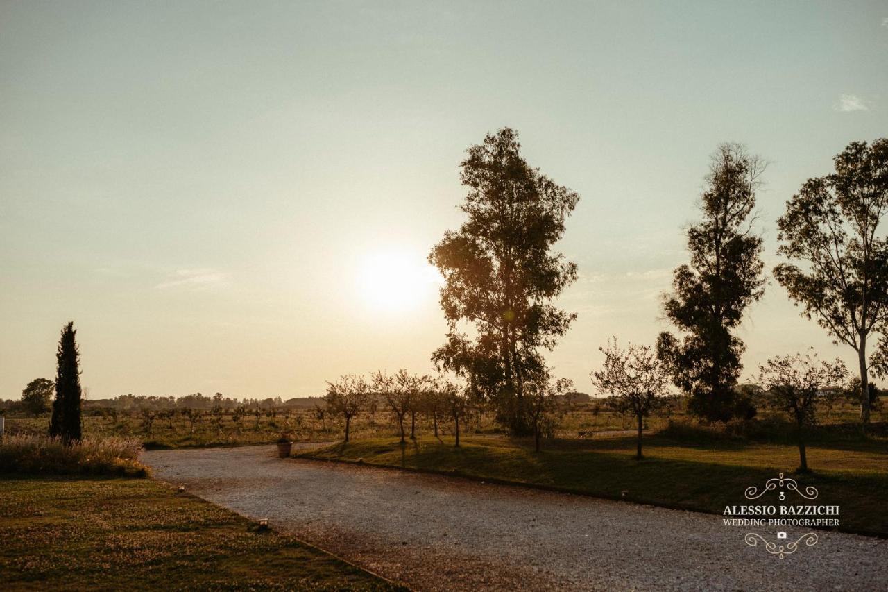 Fattoria L'Olmetto Villa Pisa Luaran gambar
