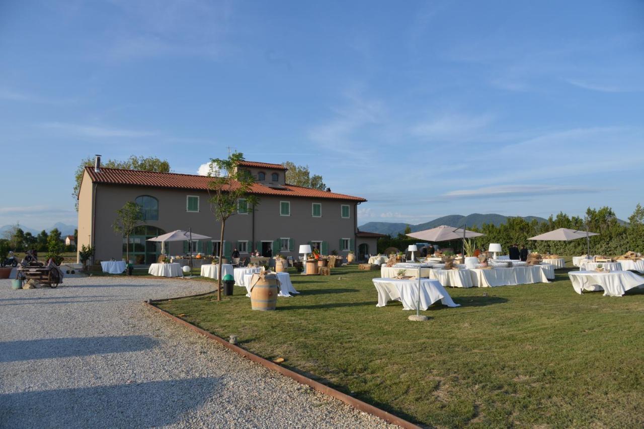 Fattoria L'Olmetto Villa Pisa Luaran gambar