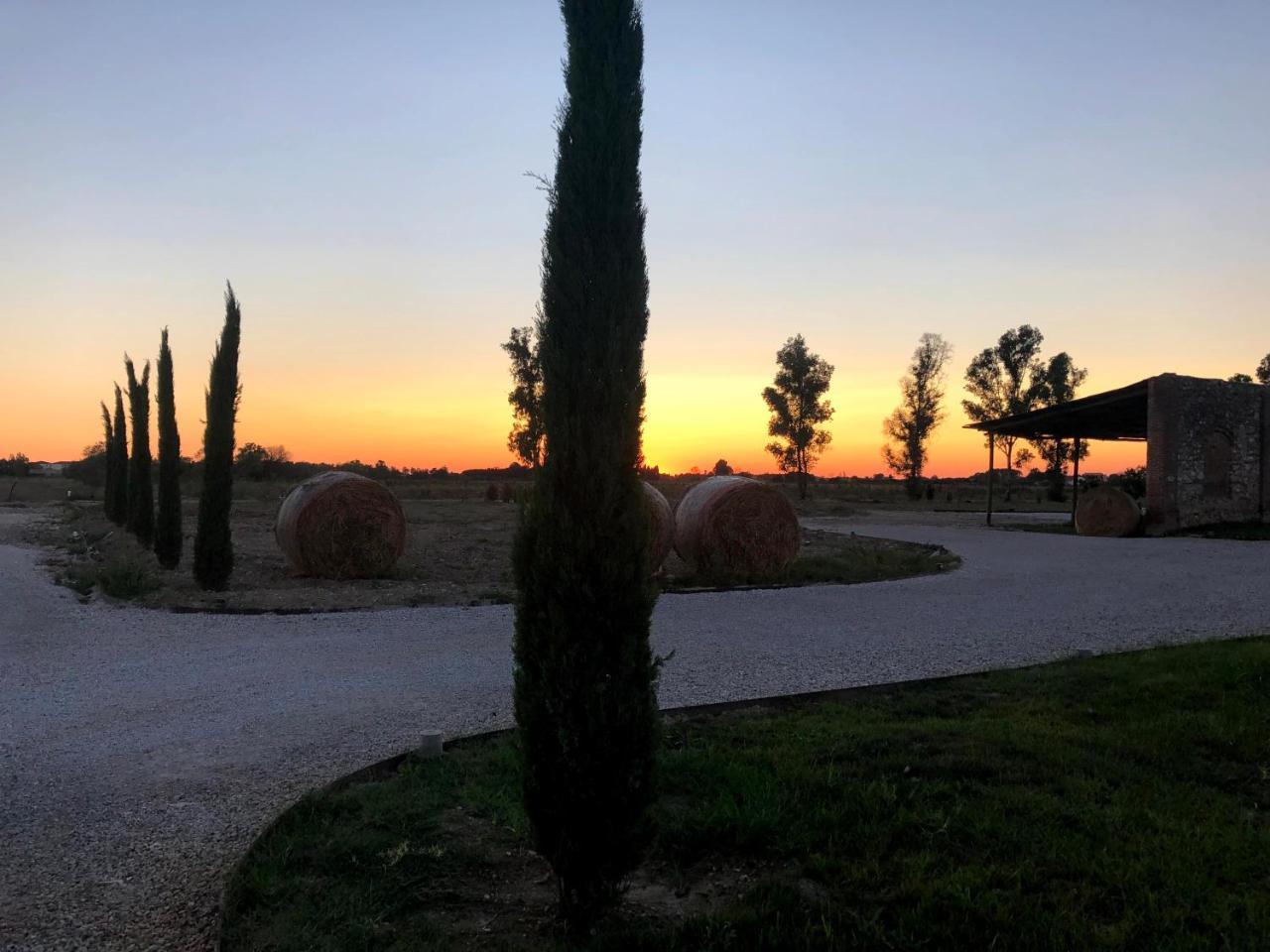 Fattoria L'Olmetto Villa Pisa Luaran gambar