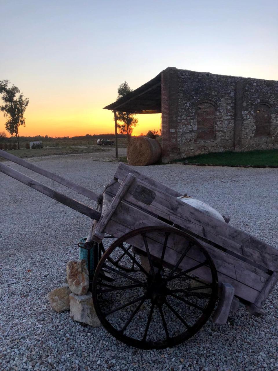 Fattoria L'Olmetto Villa Pisa Luaran gambar