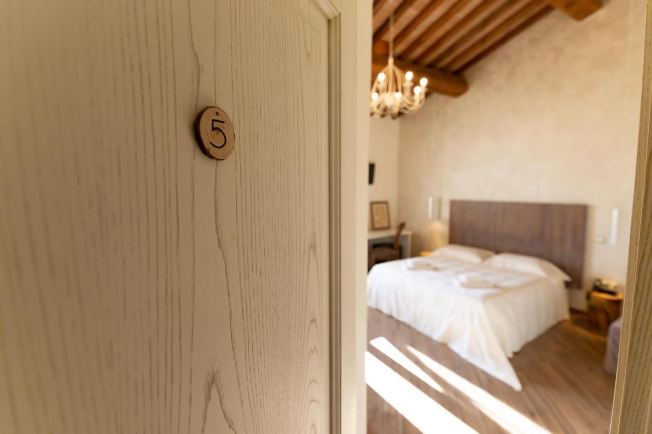 Fattoria L'Olmetto Villa Pisa Luaran gambar
