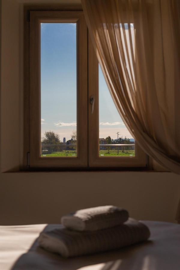 Fattoria L'Olmetto Villa Pisa Luaran gambar