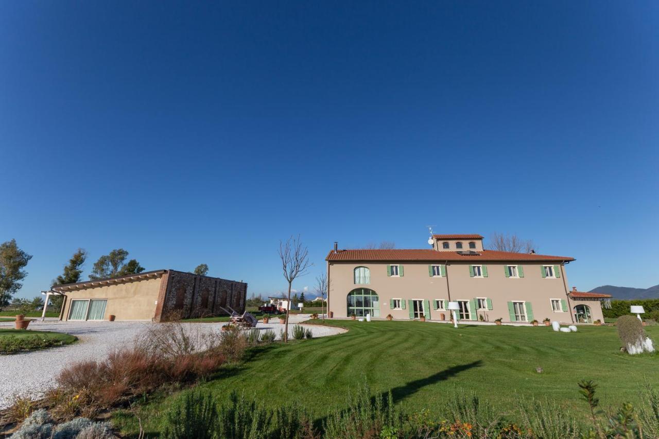 Fattoria L'Olmetto Villa Pisa Luaran gambar