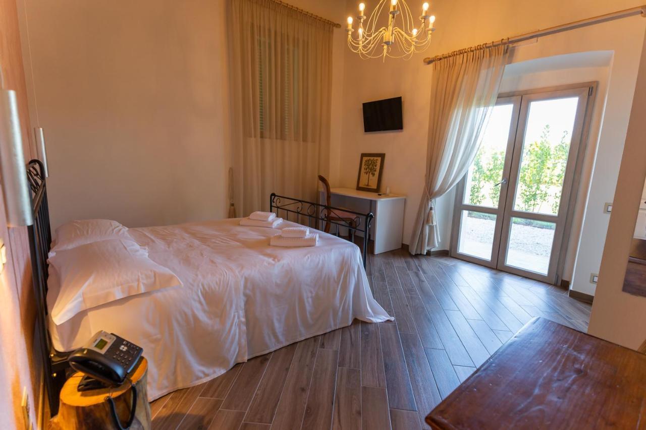 Fattoria L'Olmetto Villa Pisa Luaran gambar