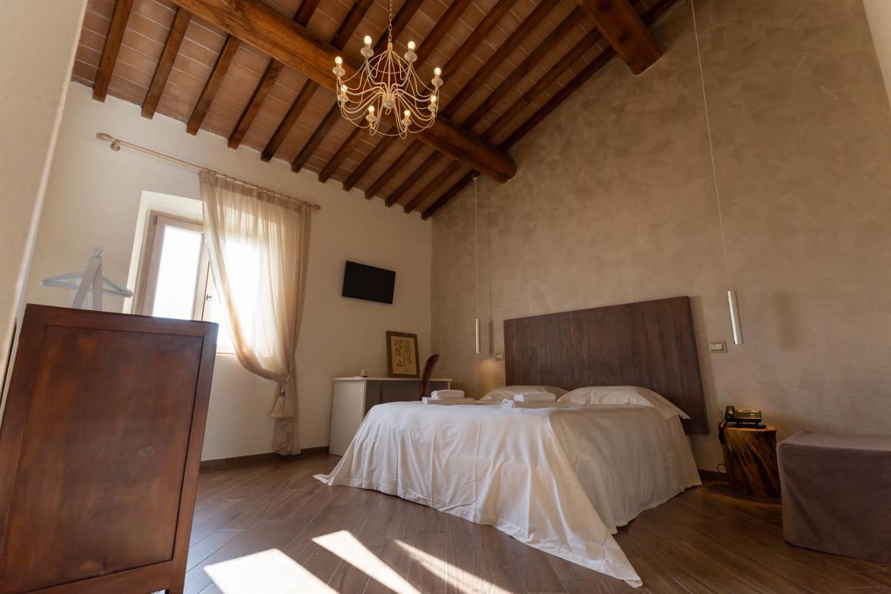 Fattoria L'Olmetto Villa Pisa Luaran gambar