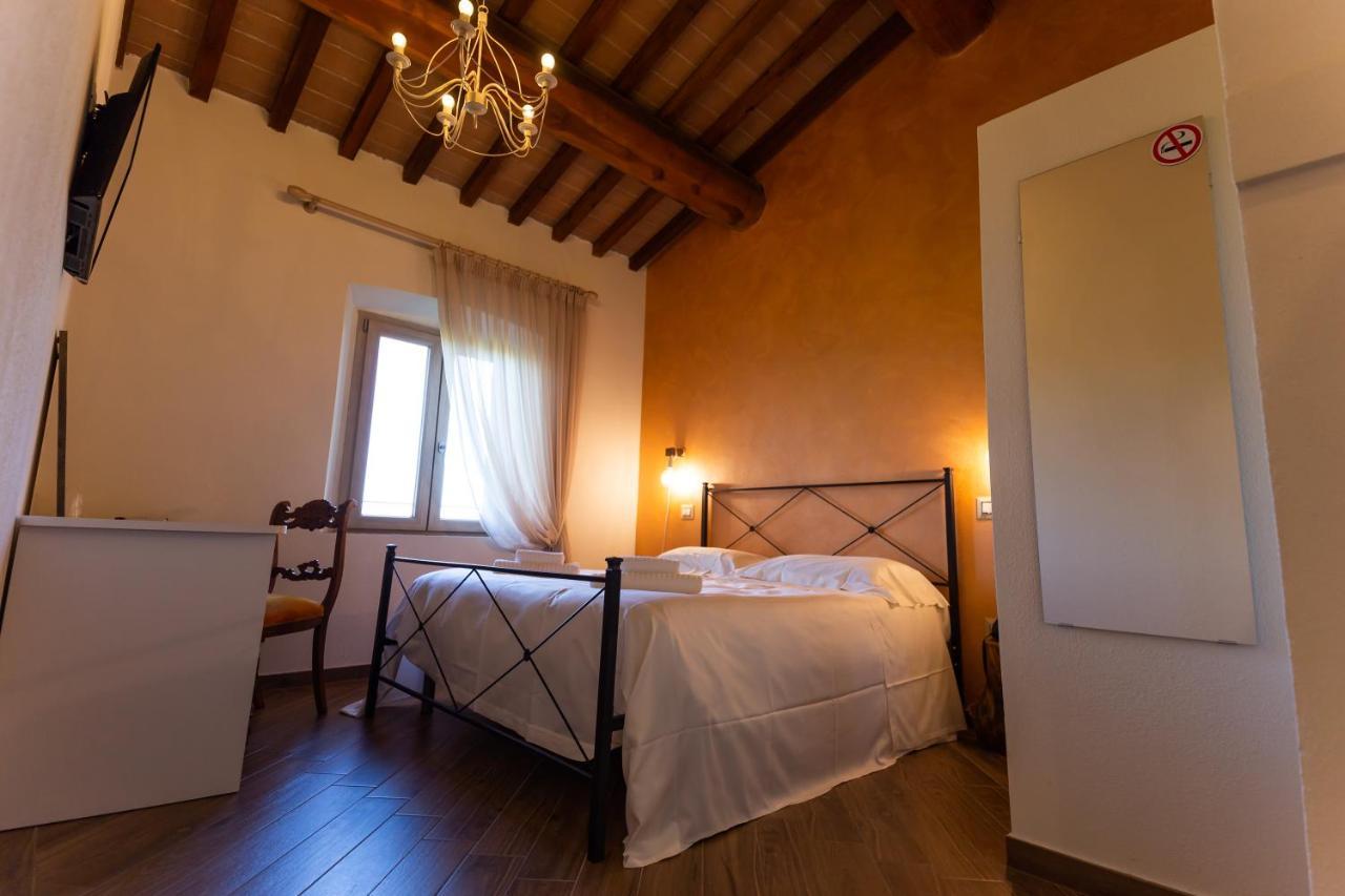 Fattoria L'Olmetto Villa Pisa Luaran gambar
