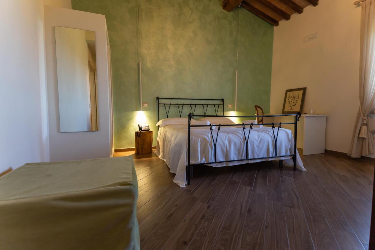 Fattoria L'Olmetto Villa Pisa Luaran gambar